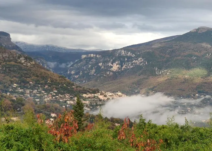 Bambou Entre Mer Et Montagnes