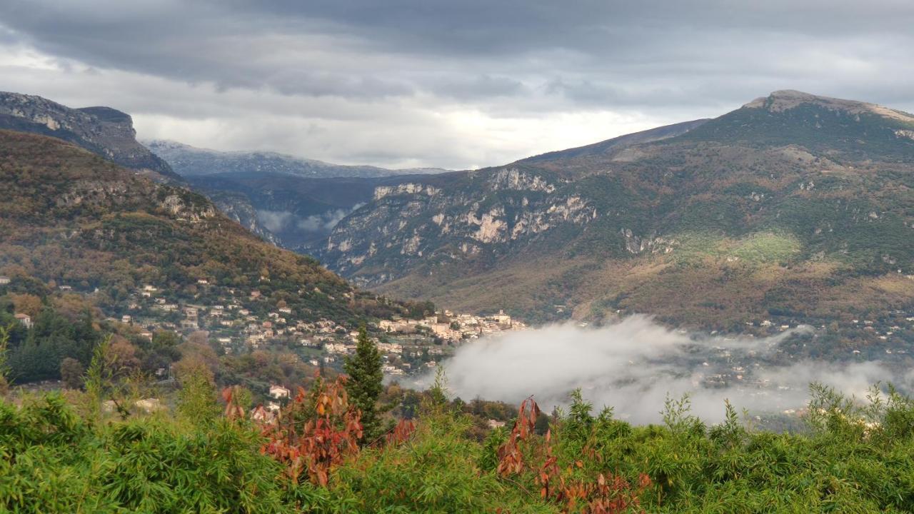 Bambou Entre Et Montagnes