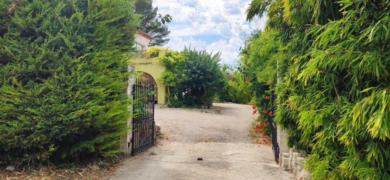 Apartment Bambou Entre Et Montagnes Chateauneuf-Grasse
